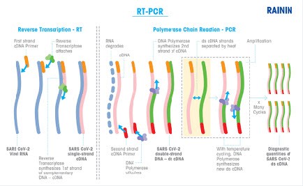 RNase Free pipette tips